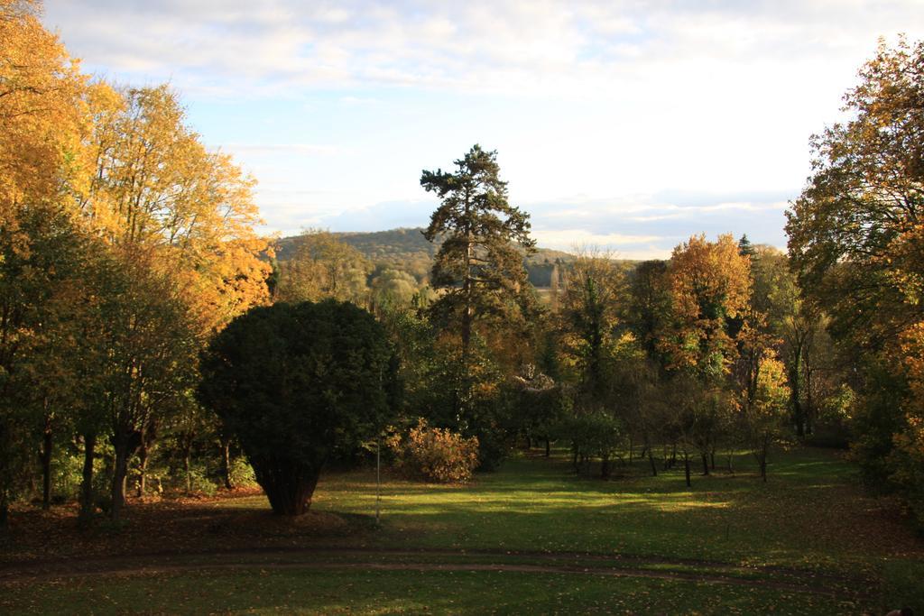 Villa Du Chatelet Choisy-au-Bac Rum bild